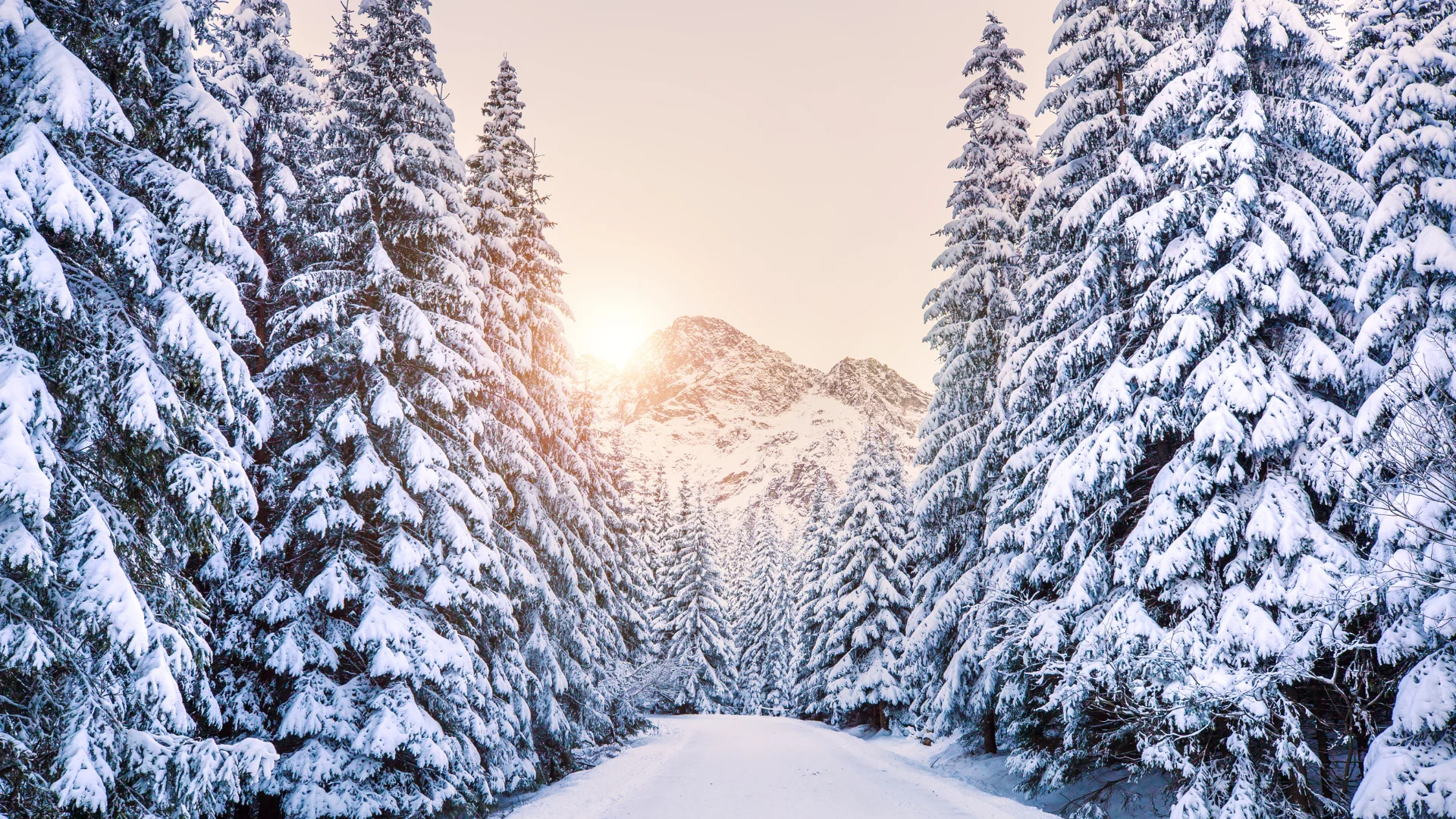 Ein unvergesslicher Winter im Lärchenhof